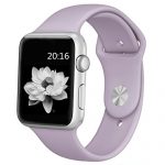 Lavander Purple